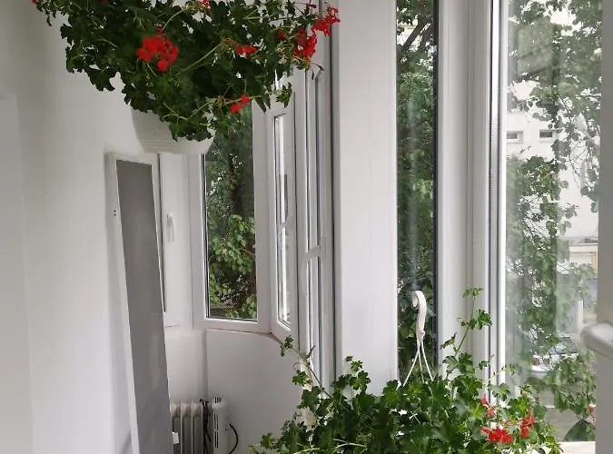 Coffee * ブカレスト